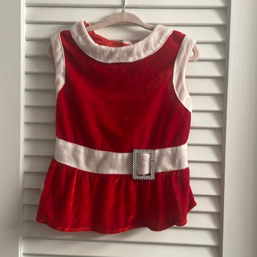 Pet Holiday 2008 Mrs. Clause Dress Like New - Size Large for Small/Medium Breeds